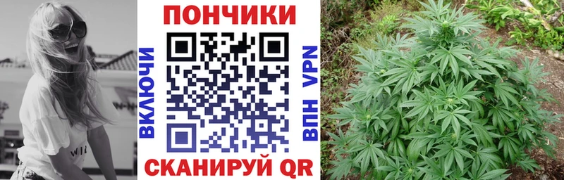Наркошоп купить Гашиш Cocaine МЕФ Каннабис Талдом
